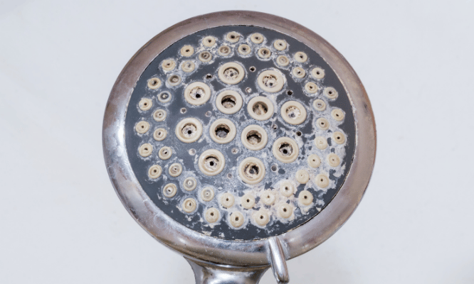 Hard Water Example Maryland