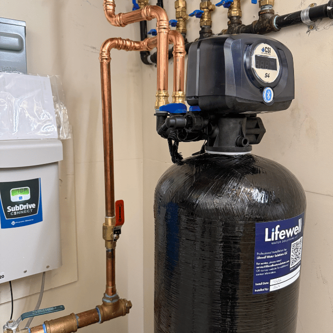 Whole-home arsenic filtration system installed by Lifewell Water Solutions in Queenstown, MD
